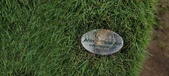 Enlarge photo 146