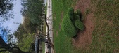 Enlarge photo 138