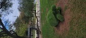 Enlarge photo 135