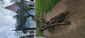 Enlarge photo 136