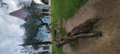 Enlarge photo 137