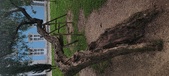 Enlarge photo 130