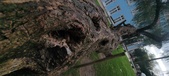 Enlarge photo 127