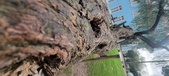 Enlarge photo 128