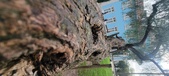 Enlarge photo 129