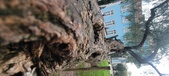 Enlarge photo 125