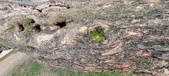 Enlarge photo 123