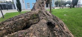 Enlarge photo 122