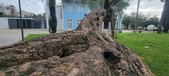 Enlarge photo 118