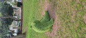 Enlarge photo 120