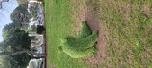 Enlarge photo 121