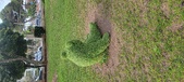 Enlarge photo 117