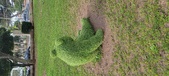 Enlarge photo 116