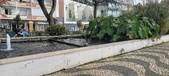 Enlarge photo 99