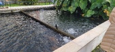 Enlarge photo 95