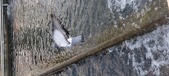 Enlarge photo 92