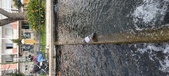 Enlarge photo 93