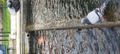 Enlarge photo 90