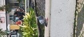 Enlarge photo 88