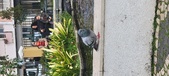 Enlarge photo 87