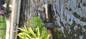 Enlarge photo 204
