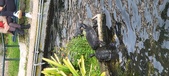 Enlarge photo 203