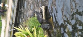 Enlarge photo 202