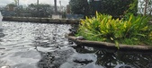 Enlarge photo 200