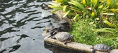 Enlarge photo 76