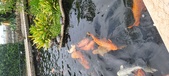Enlarge photo 192