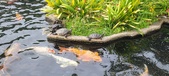 Enlarge photo 69