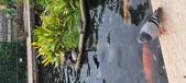 Enlarge photo 65