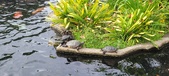 Enlarge photo 67