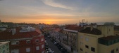 Enlarge photo 273