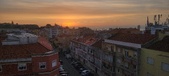 Enlarge photo 268