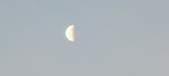 Enlarge photo 266