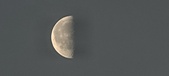 Enlarge photo 261