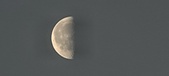 Enlarge photo 263