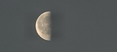 Enlarge photo 264