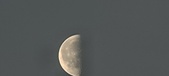 Enlarge photo 265