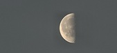 Enlarge photo 172