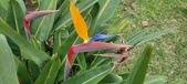 Enlarge photo 168