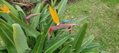 Enlarge photo 169