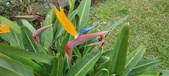 Enlarge photo 167