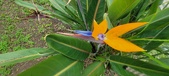 Enlarge photo 166