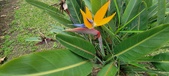 Enlarge photo 165