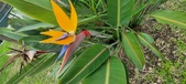 Enlarge photo 164