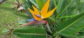 Enlarge photo 160
