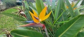 Enlarge photo 162
