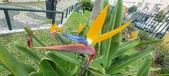 Enlarge photo 159
